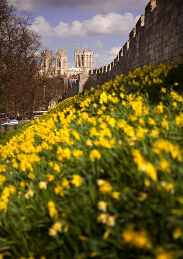 Shambles Suites In The Centre Of York, Sleeps 16 Exteriér fotografie